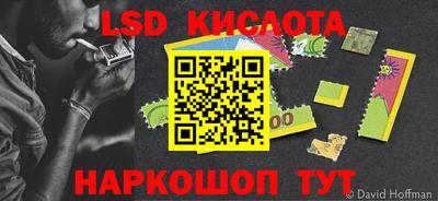 стаф Бийск
