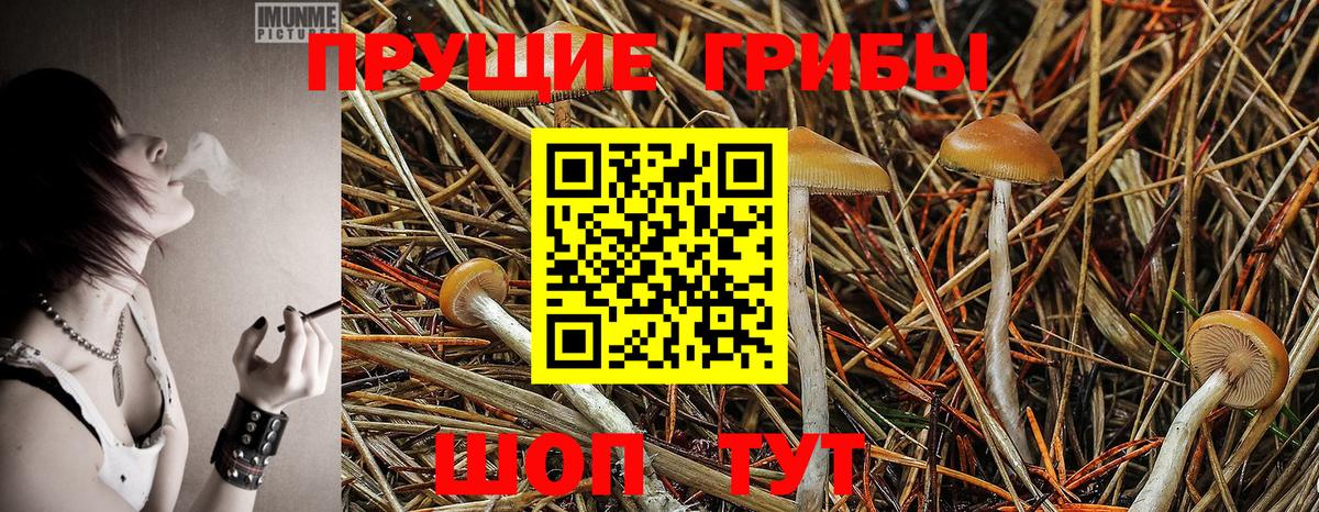 Галлюциногенные грибы ЛСД  Вход с VPN  Клин 